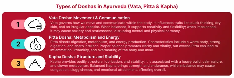 Types Of Doshas Ayurveda
